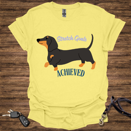 Stretch Goals T-Shirt