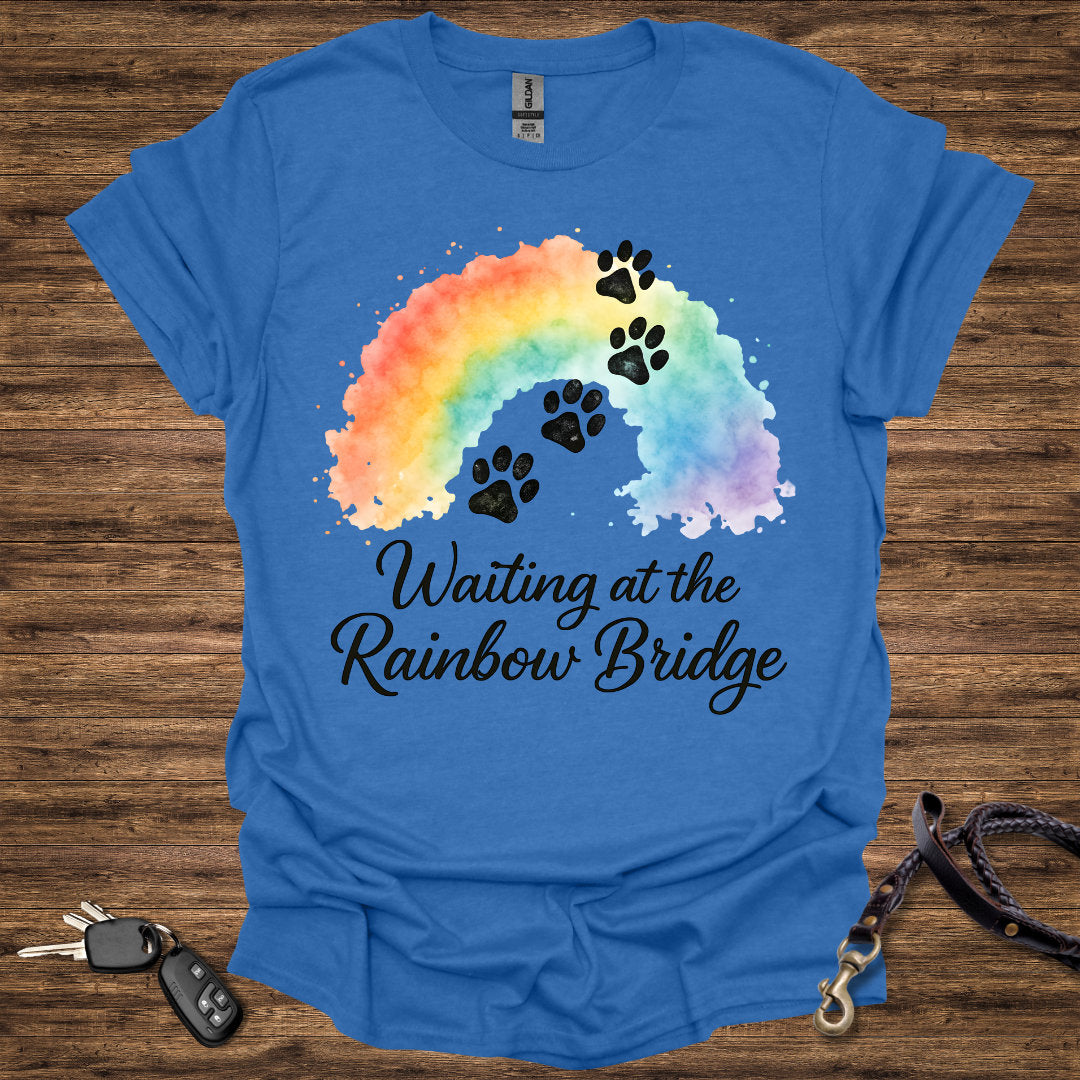 Waiting at the Rainbow Bridge