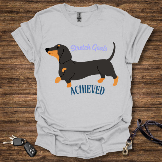 Stretch Goals T-Shirt