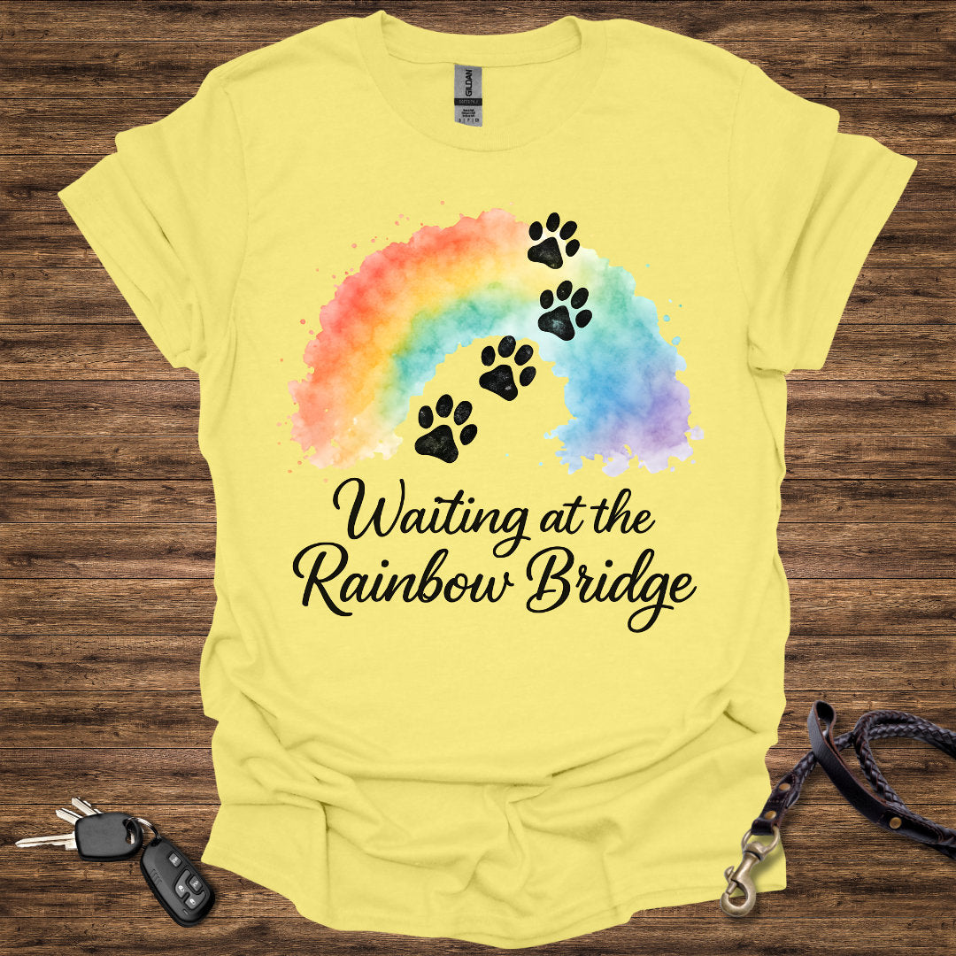 Waiting at the Rainbow Bridge