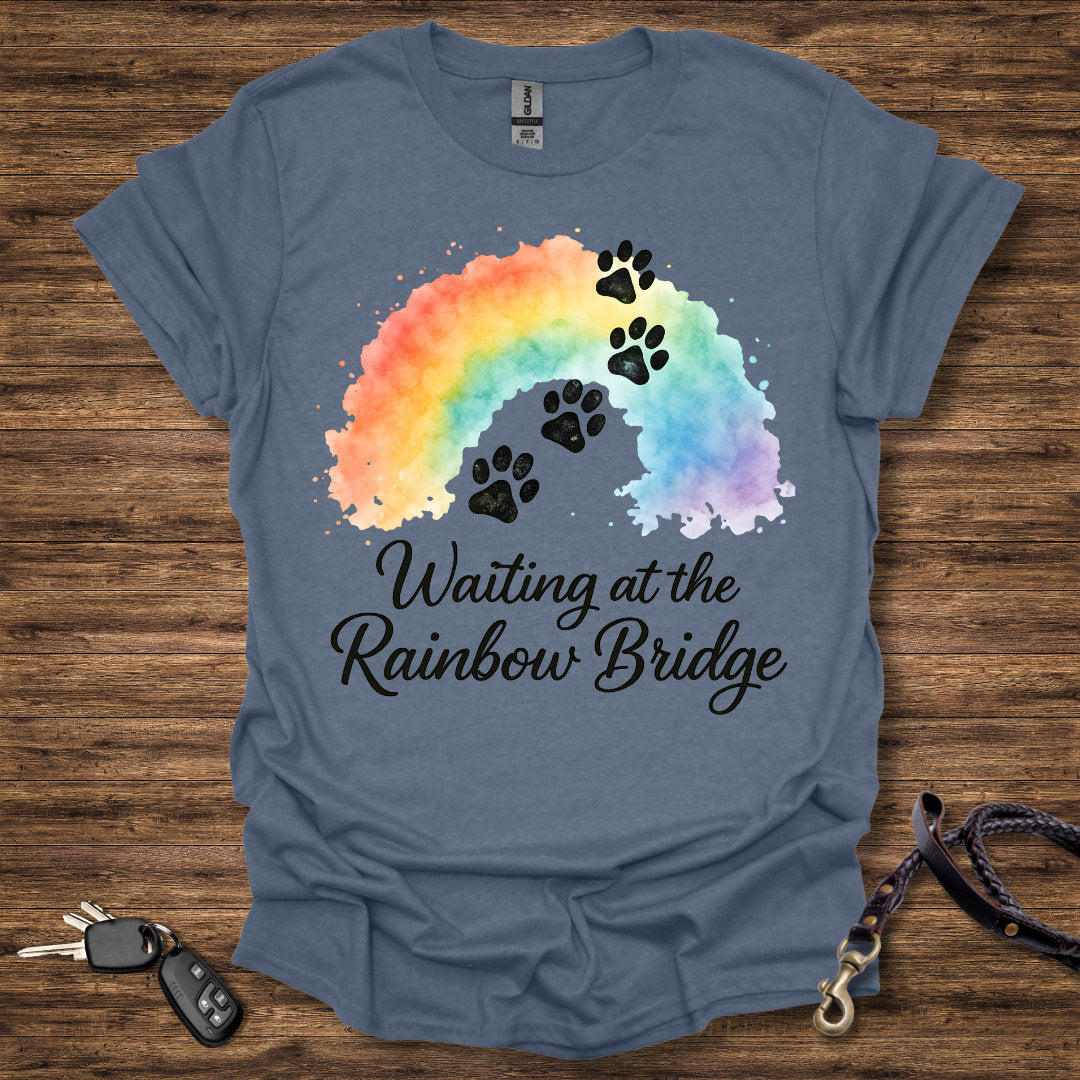 Waiting at the Rainbow Bridge