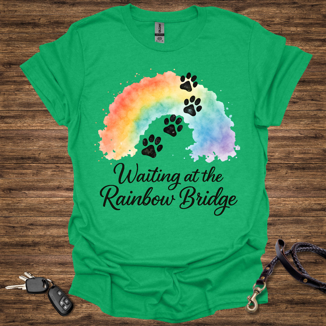 Waiting at the Rainbow Bridge