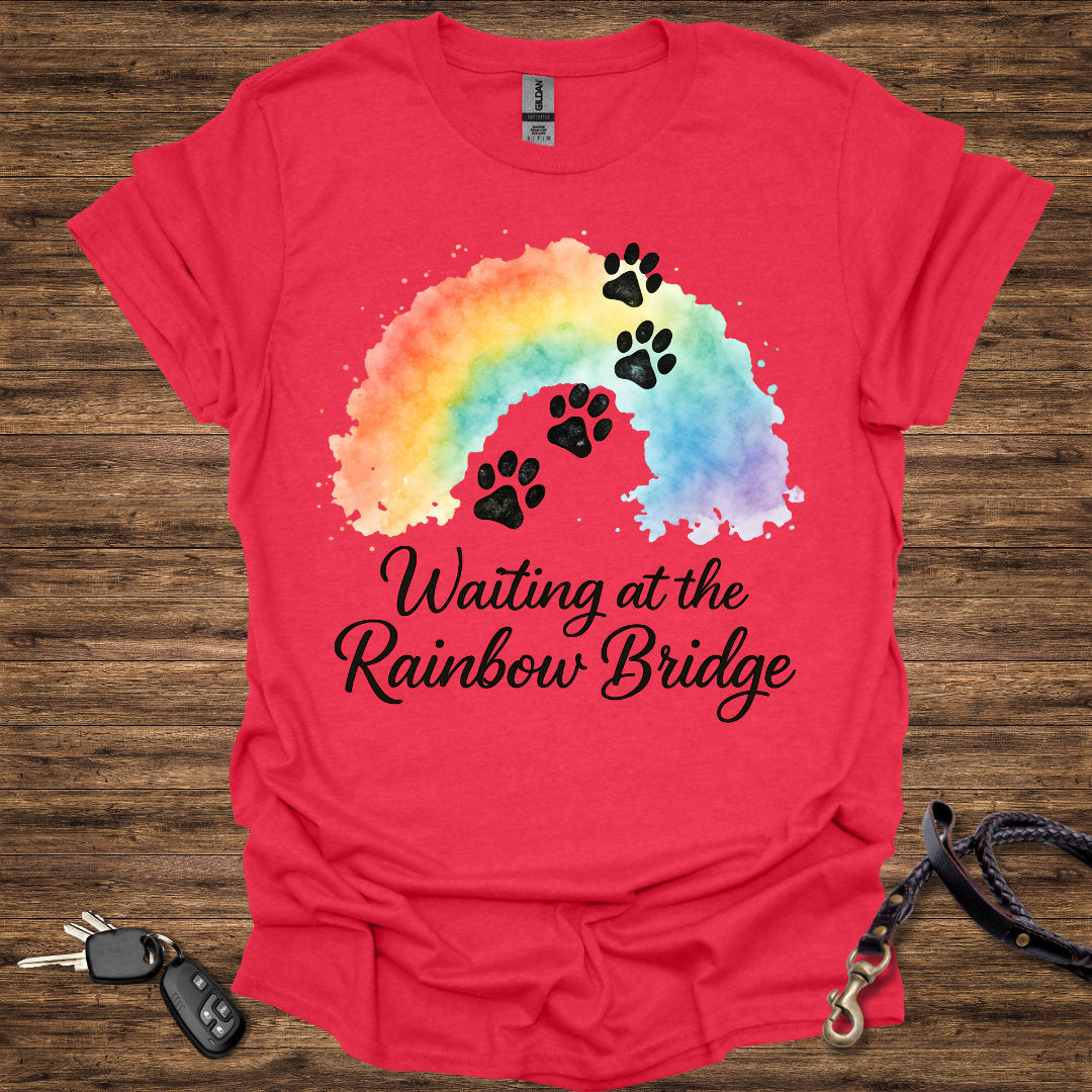 Waiting at the Rainbow Bridge