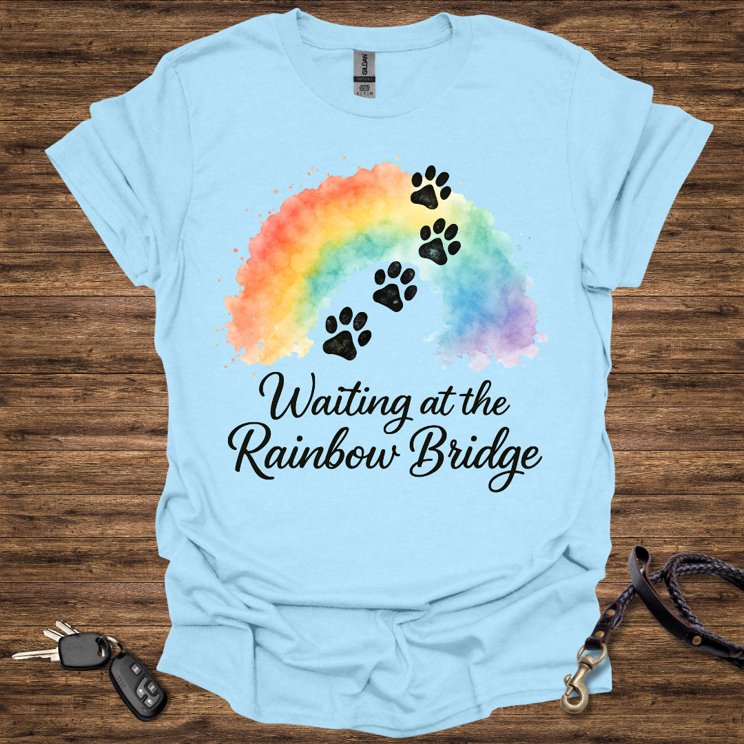 Waiting at the Rainbow Bridge