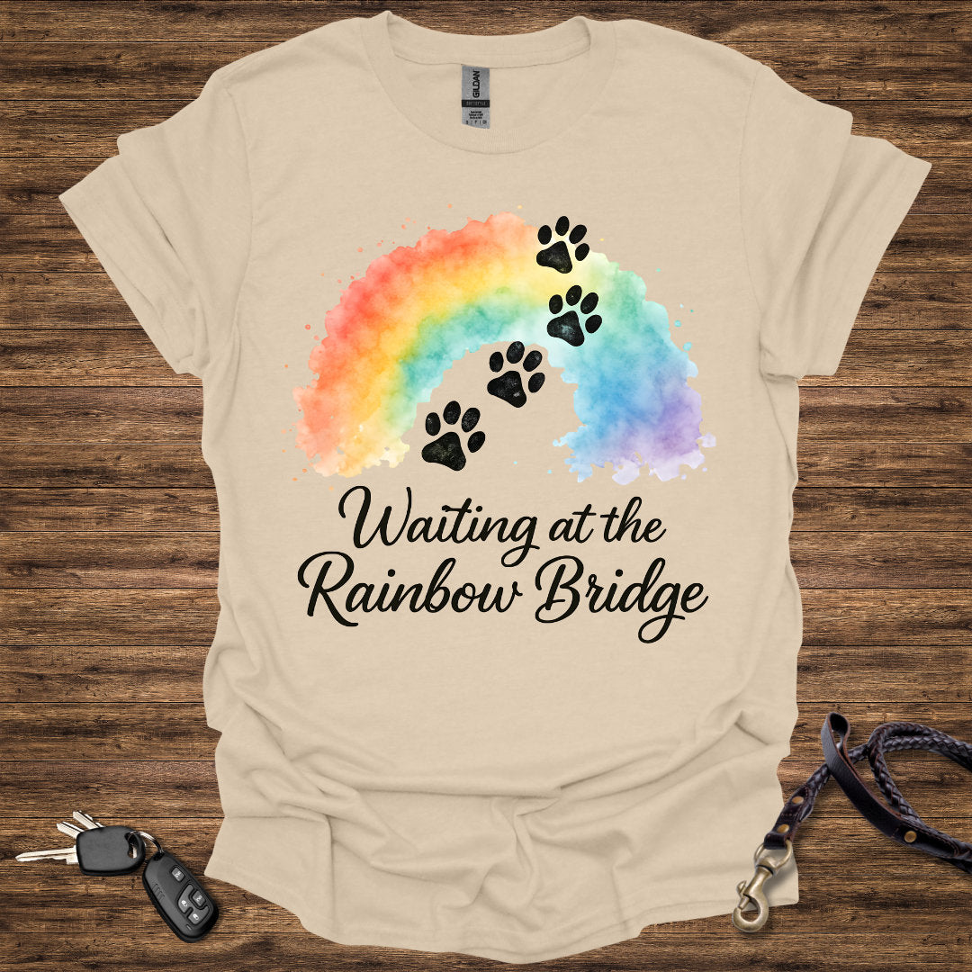 Waiting at the Rainbow Bridge
