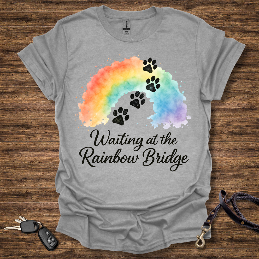 Waiting at the Rainbow Bridge
