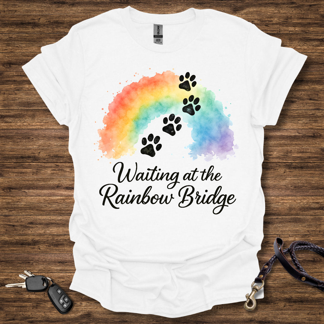 Waiting at the Rainbow Bridge